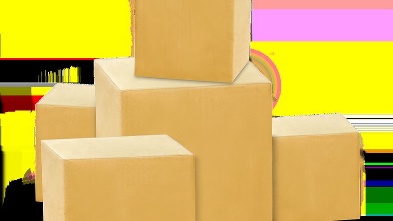 送料無料キャンペーン